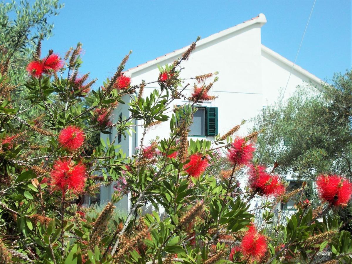 Rustic Holiday Home Miketa Lukoran Exterior foto